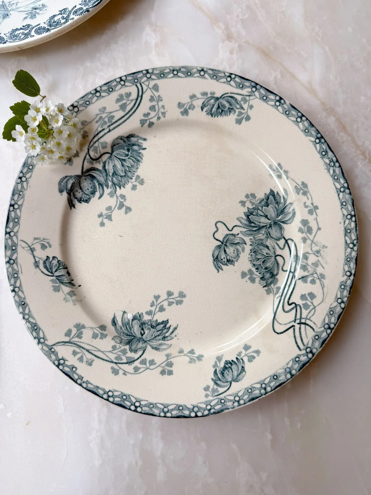 19th Century Antique French Ironstone Blue Floral Terre de Fer Plates
